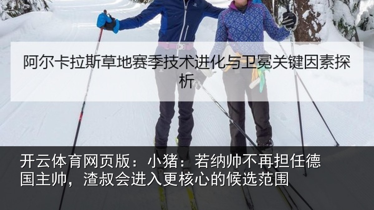 开云体育网页版：小猪相关情况国主相关情况心的候选范围
