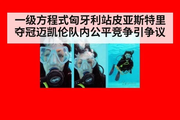 一级方程式匈牙利站皮亚斯特里夺冠迈凯伦队内公平竞争引争议